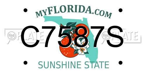 C7587S Florida License Plate