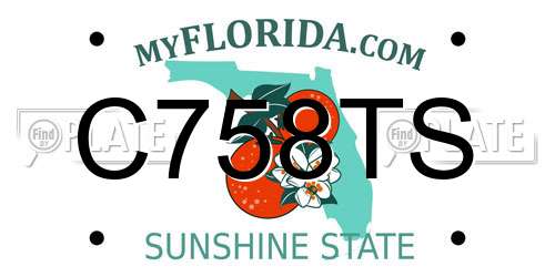 C758TS Florida License Plate