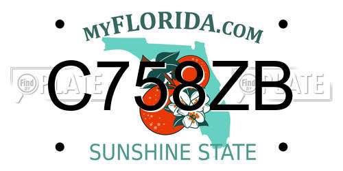 C758ZB Florida License Plate
