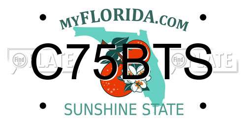 C75BTS Florida License Plate