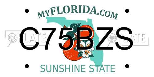 C75BZS Florida License Plate