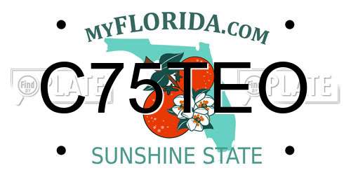C75TEO Florida License Plate