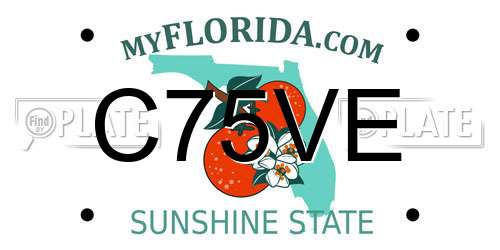 C75VE Florida License Plate