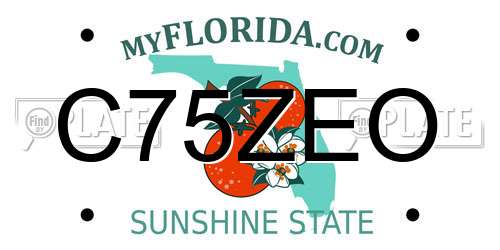 C75ZEO Florida License Plate