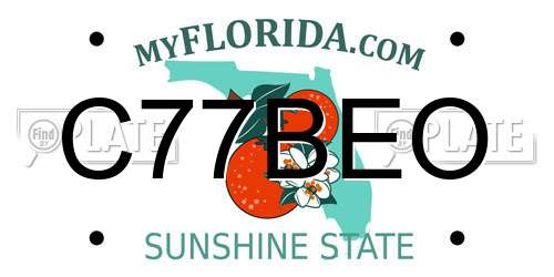 C77BEO Florida License Plate