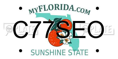 C77SEO Florida License Plate