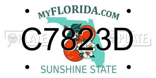 C7823D Florida License Plate