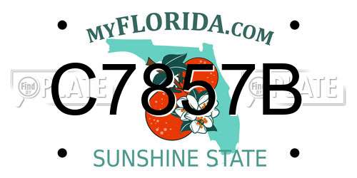 C7857B Florida License Plate