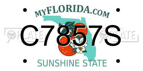 C7857S Florida License Plate