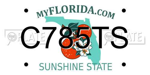 C785TS Florida License Plate