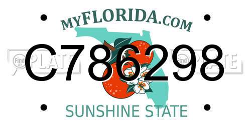 C786298 Florida License Plate