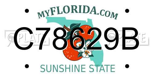 C78629B Florida License Plate