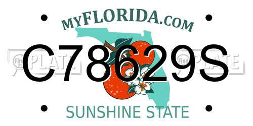 C78629S Florida License Plate