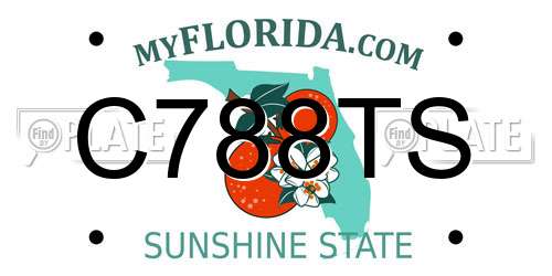 C788TS Florida License Plate