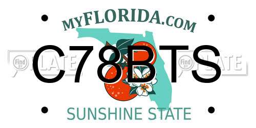 C78BTS Florida License Plate