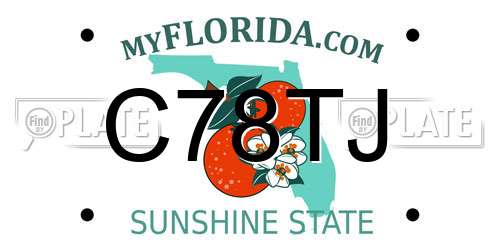 C78TJ Florida License Plate