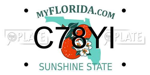 C78YI Florida License Plate