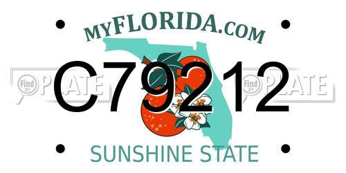 C79212 Florida License Plate