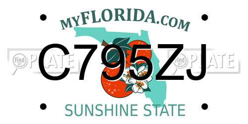 C795ZJ Florida License Plate