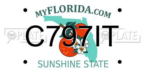 C797IT Florida License Plate