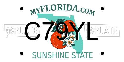 C79YL Florida License Plate