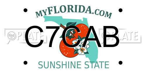 C7CAB Florida License Plate
