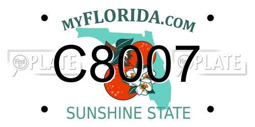 C8007 Florida License Plate