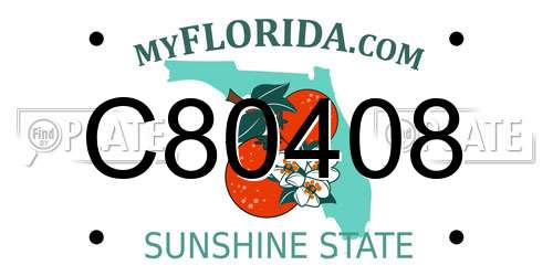 C80408 Florida License Plate