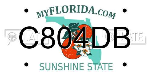 C804DB Florida License Plate
