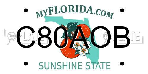C80AOB Florida License Plate