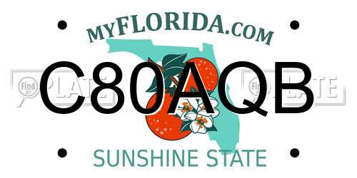 C80AQB Florida License Plate