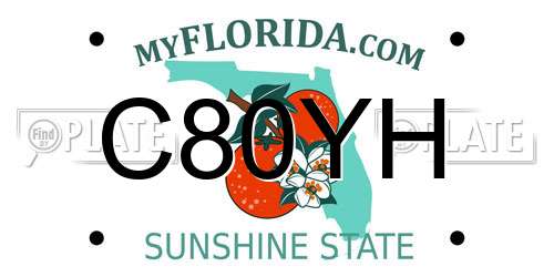 C80YH Florida License Plate