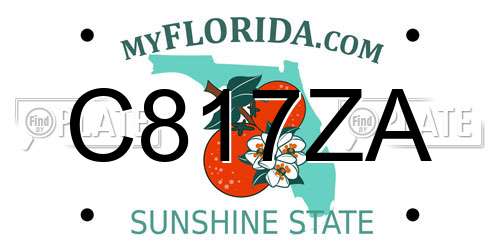 C817ZA Florida License Plate
