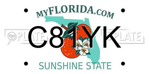 C81YK Florida License Plate