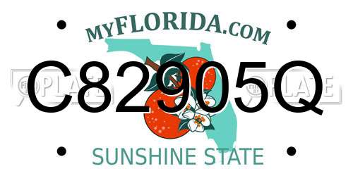 C82905Q Florida License Plate