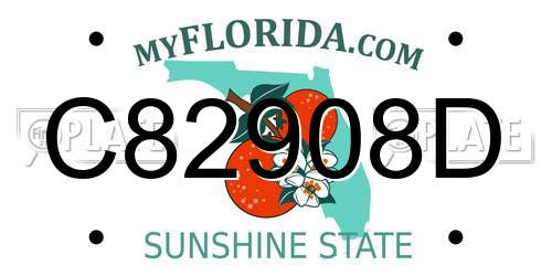 C82908D Florida License Plate