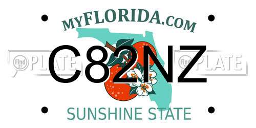 C82NZ Florida License Plate