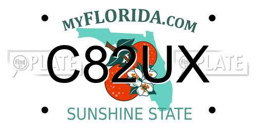 C82UX Florida License Plate