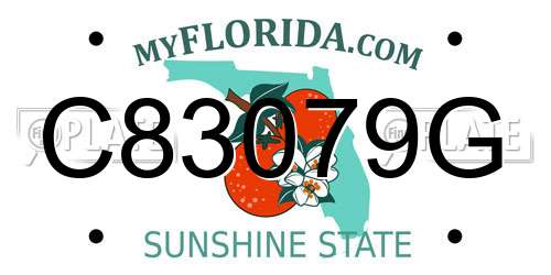 C83079G Florida License Plate