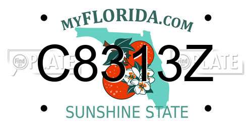 C8313Z Florida License Plate