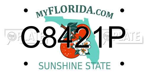 C8421P Florida License Plate
