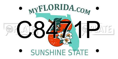 C8471P Florida License Plate