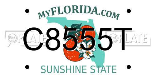 C8555T Florida License Plate