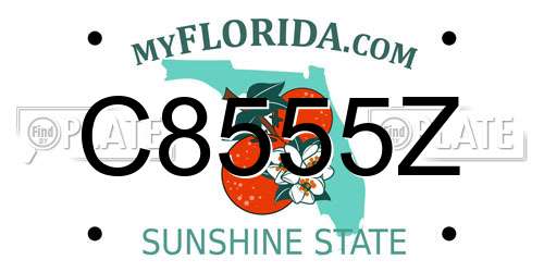 C8555Z Florida License Plate
