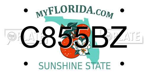 C855BZ Florida License Plate