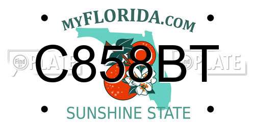 C858BT Florida License Plate