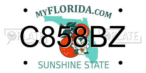 C858BZ Florida License Plate