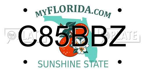 C85BBZ Florida License Plate