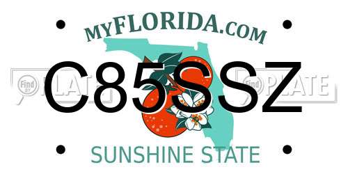 C85SSZ Florida License Plate
