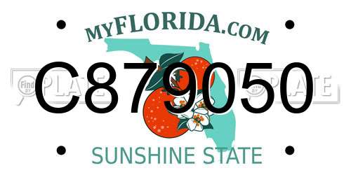 C879050 Florida License Plate
